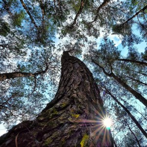 Mental health acupuncture